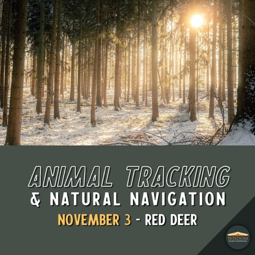 Animal Tracking and Natural Navigation - Red Deer <span>E1173</span>